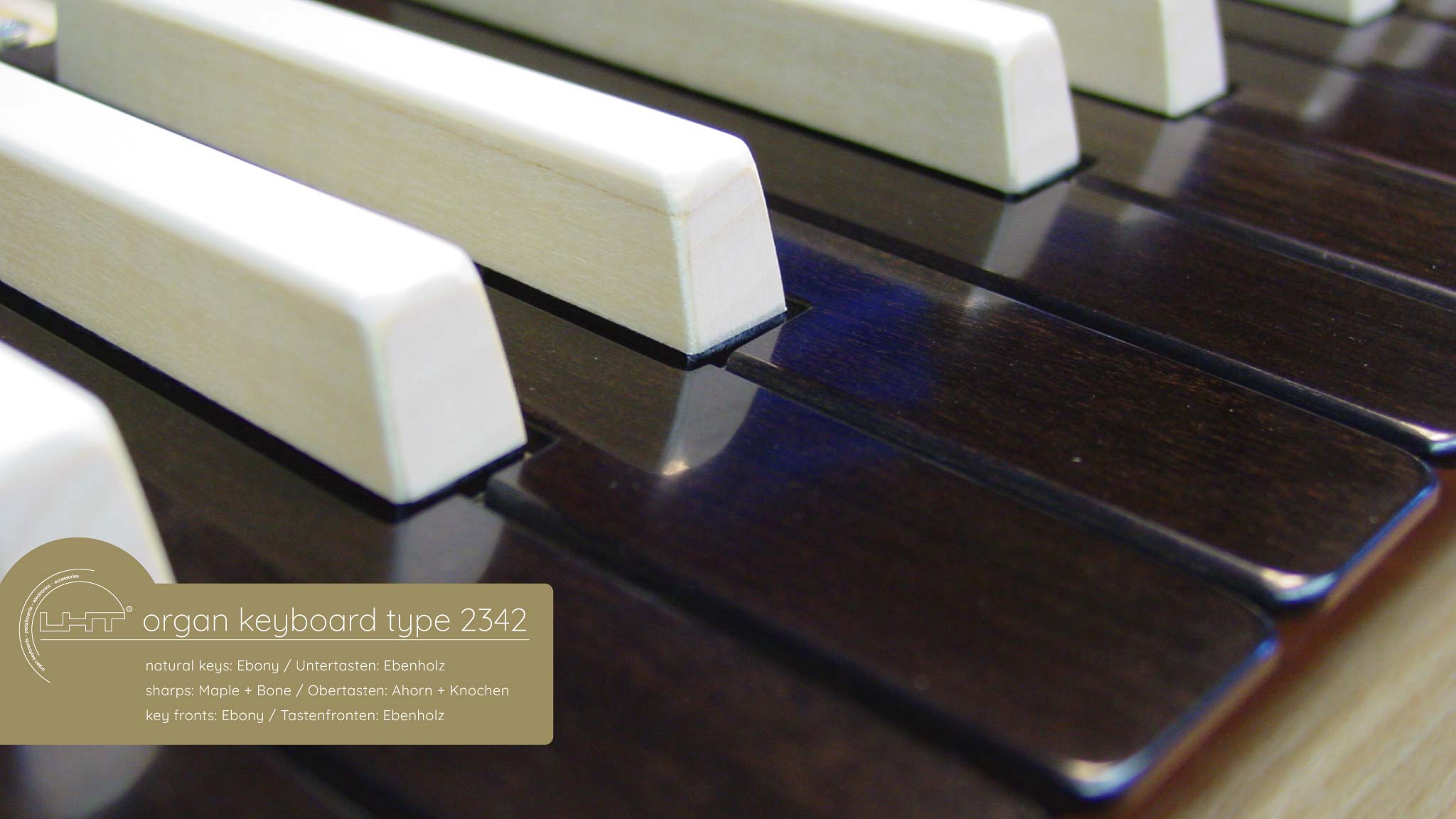 YOSHI - Support de clavier Orgue électronique portable X-Style Support  piano électrique à double contreventement Hauteur réglable